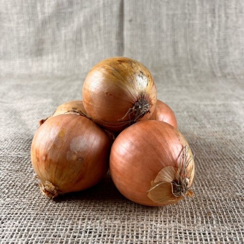 Onions1